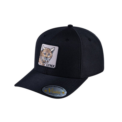 Lynx V2 6-Panel Baseball Cap with Black front and Black back