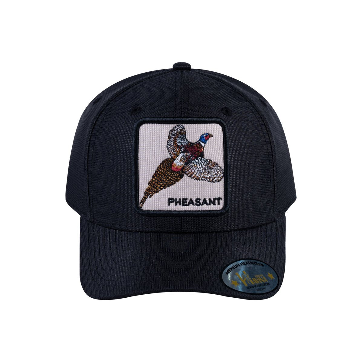 Pheasant V2 6-Panel Baseball Cap with Black front and Black back