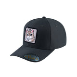 Cat V2 6-Panel Baseball Cap with Dark Grey front and Dark Grey back