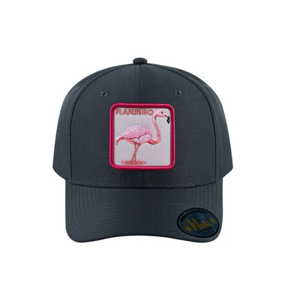 Flamingo V2 6-Panel Baseball Cap with Dark Grey front and Dark Grey back