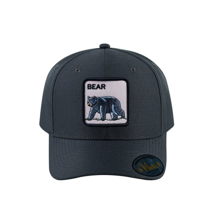Bear V2 6-Panel Baseball Cap with Dark Grey front and Dark Grey back