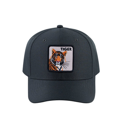 Tiger V2 6-Panel Baseball Cap with Dark Grey front and Dark Grey back