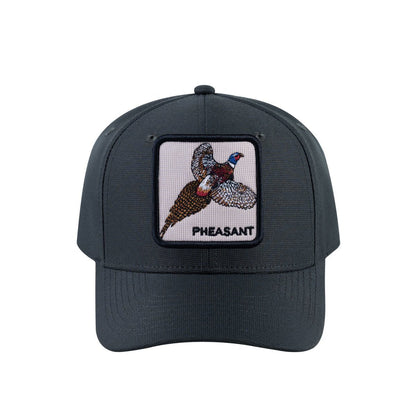 Pheasant V2 6-Panel Baseball Cap with Dark Grey front and Dark Grey back