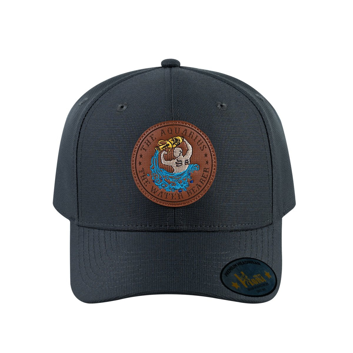 Aquarius Zodiac V2 6-Panel Baseball Cap with Dark Grey front and Dark Grey back