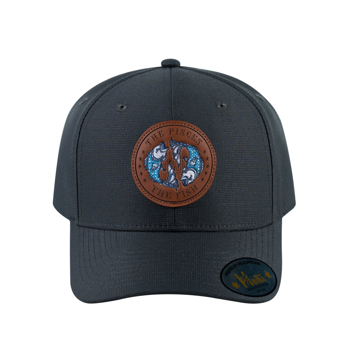 Pisces Zodiac V2 6-Panel Baseball Cap with Dark Grey front and Dark Grey back