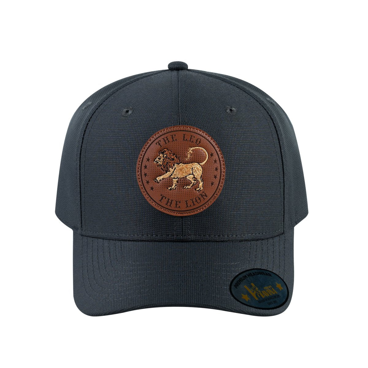 Leo Zodiac V2 6-Panel Baseball Cap with Dark Grey front and Dark Grey back