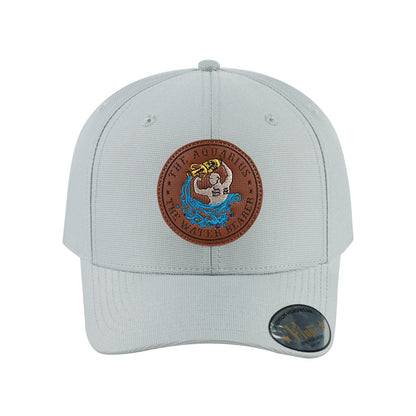 Aquarius Zodiac V2 6-Panel Baseball Cap with Light Grey front and Light Grey back