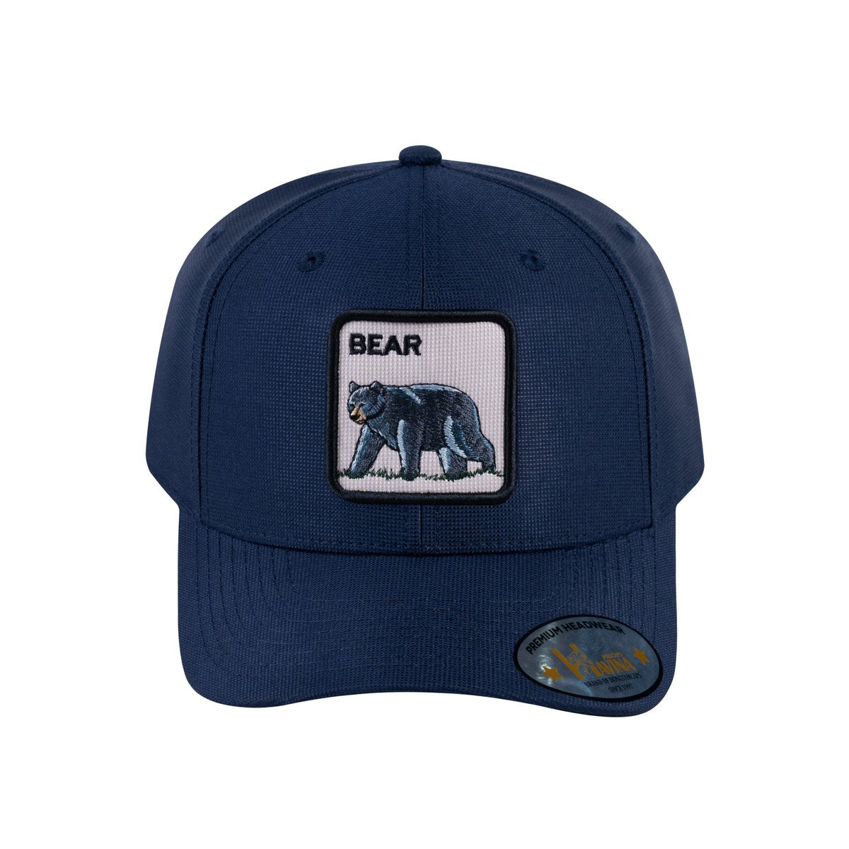 Bear V2 6-Panel Baseball Cap with Navy front and Navy back