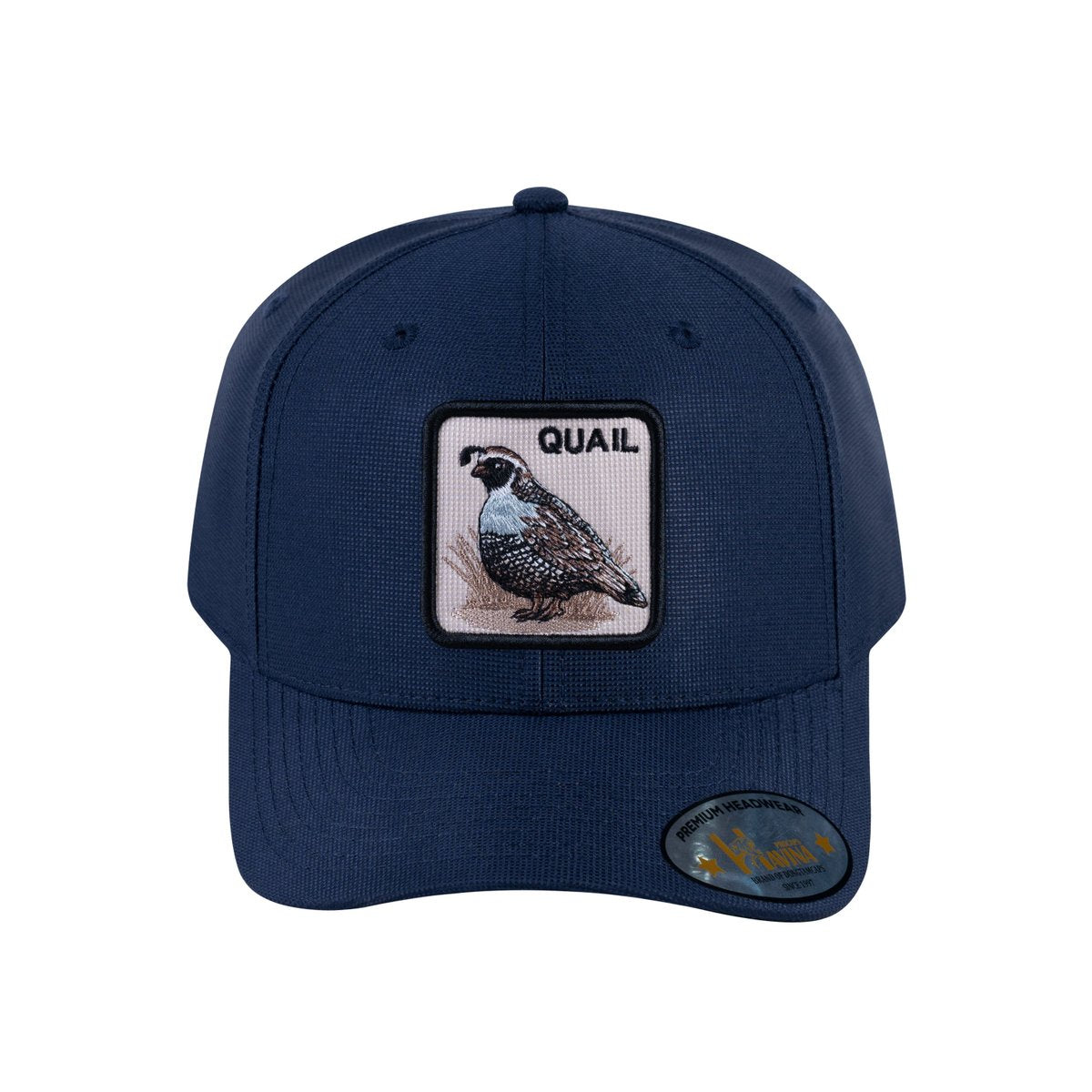 Quail V2 6-Panel Baseball Cap with Navy front and Navy back