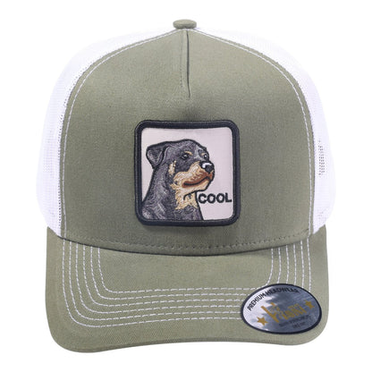 Cool Dog 5-Panel Trucker Hat with Olive front and White back