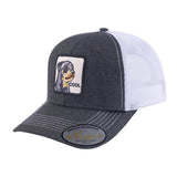 Cool Dog 6-Panel Trucker Hat with Dark Grey front and White back