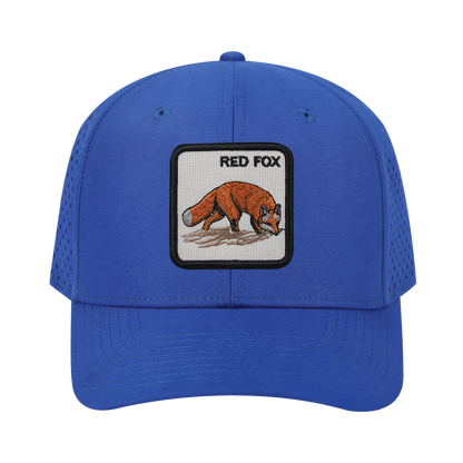 Red Fox 6-Panel Microfiber Laser Hole Trucker Hat with Royal Blue front and Royal Blue back