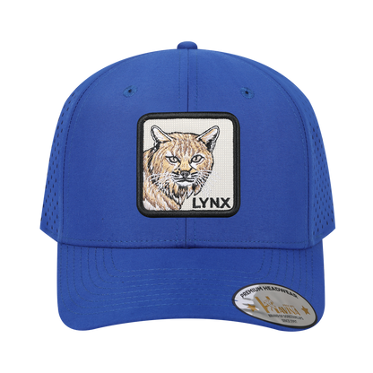 Lynx 6-Panel Microfiber Laser Hole Trucker Hat with Royal Blue front and Royal Blue back