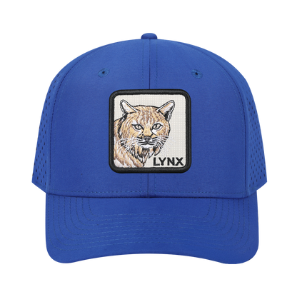 Lynx 6-Panel Microfiber Laser Hole Trucker Hat with Royal Blue front and Royal Blue back
